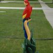 Red parrot  60" tall  $800