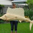 sailfish  7' 3" long